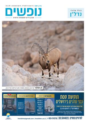 נופים&נופשים גיליון מס׳ 409 | כ״ג שבט ה׳תשפ״ה | פרשת משפטים | 21.2.25