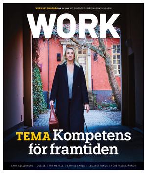Work Nr 1-2025