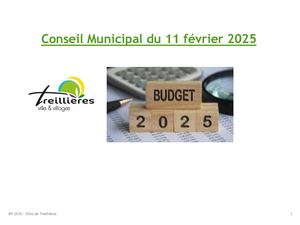 Synthèse du Budget Primitif 2025