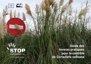 Herbe de la Pampa - bonnes pratiques de gestion