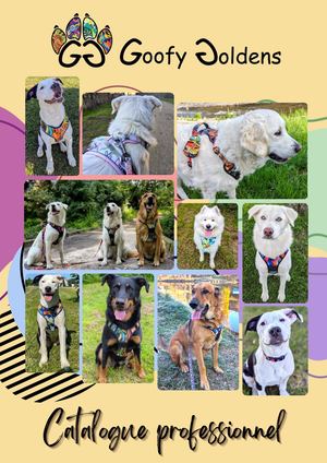 Catalogue Goofy Goldens 2025