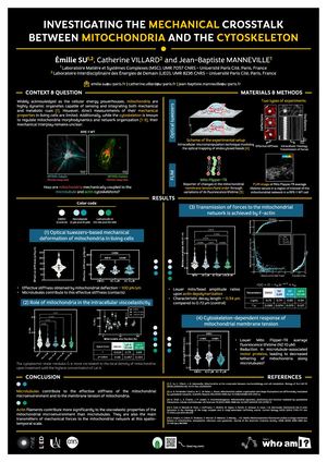 Investigating the mechanical crosstalk between mitochondria and the cytoskeleton