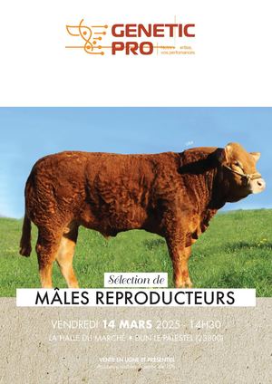 Vente DUN LE PALESTEL Mâles reproducteurs Catalogue2025