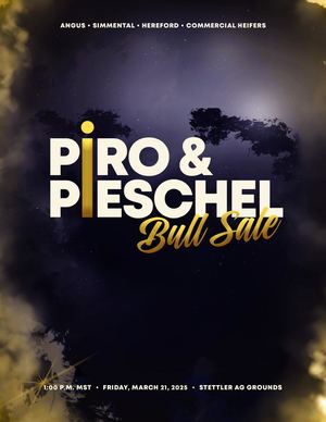 Piro Pieschel Bull Sale Catalogue 2025