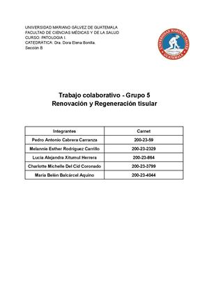 Colaborativo I Grupo 5 Patologia