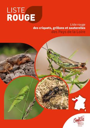 Liste Rouge des Orthoptères de Pays de la Loire | GRETIA | 2025