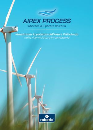 601428 Díptico Airex Process IT