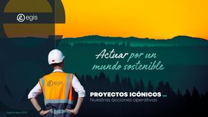 ES - Libro De Proyecto Icónicos ESG