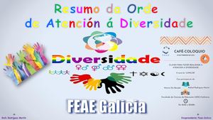 Resumo Orde Atención Á Diversidade
