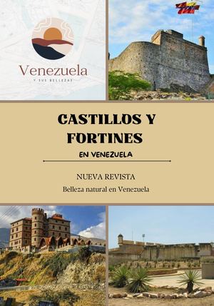 Revista Castillos Y Fortines De Venezuela Pdf