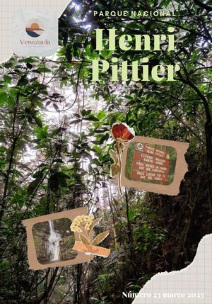 Texto Del Párrafo 20250222 221604 0000