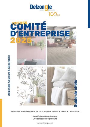 Livret Ce 2025 Delzongle Couleurs & Decoration