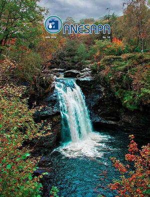 Anesapa Revista 54 Web