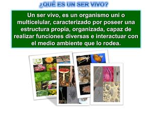 Clasificacion De Los Seres Vivos