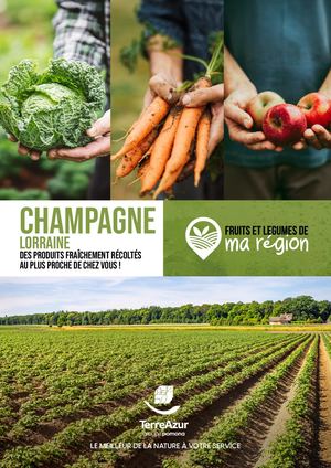 Brochure Champagne Lorraine