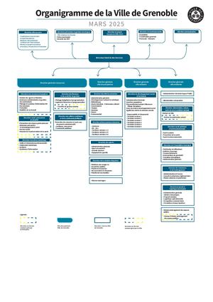 Organigramme des services 2024