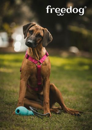 Freedog