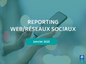 Reporting web/réseaux sociaux