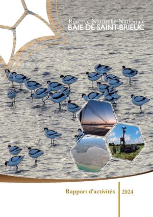 Rapport activité 2024