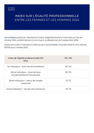 Index Sur L'égalité Professionnelle 2024