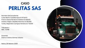 ANALISIS CASO PERLITAS SAS