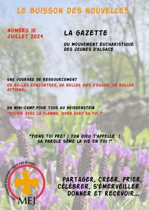 Buisson des Nouvelles N°10