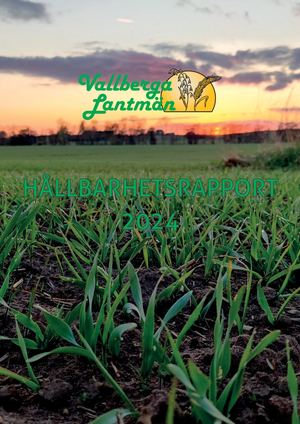 Hållbarhetsrapport 2024