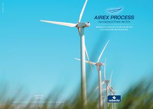 601426 Díptico Airex Process ES
