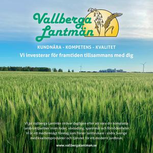 Vallberga Broschyr Feb 2025