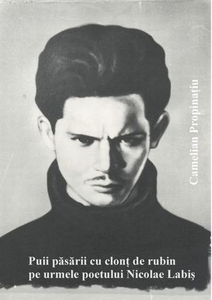 Camelian Propinatiu Puii Pasarii Cu Clont De Rubin