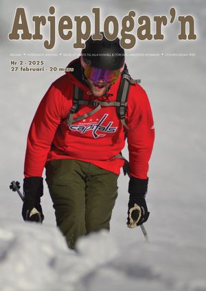 Arjeplogarn Nr 2 2025