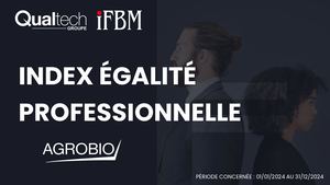 Index égalité professionnelle 2024