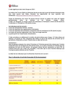 Index Egalite Pro 2024