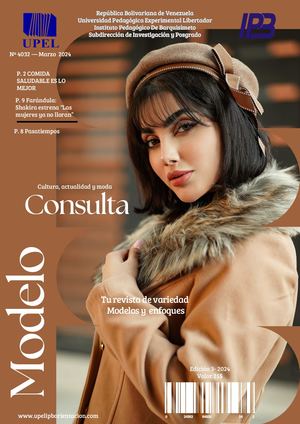 Modelo De Consulta Revista Digital