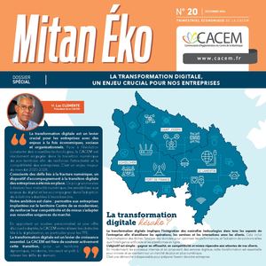 Cacem Mitaneko N° 20