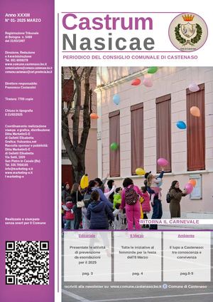 Castrum Nasicae 01