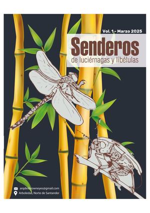 Senderos de luciérnagas y libélulas