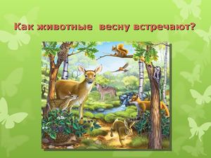 Как животные весну встречают?