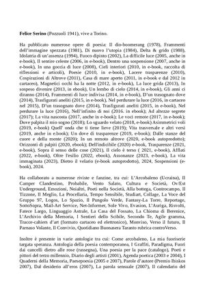 Biografia Completa Felice Serino