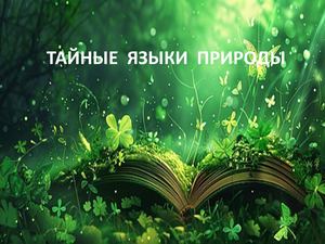 Презентация Microsoft Power Point