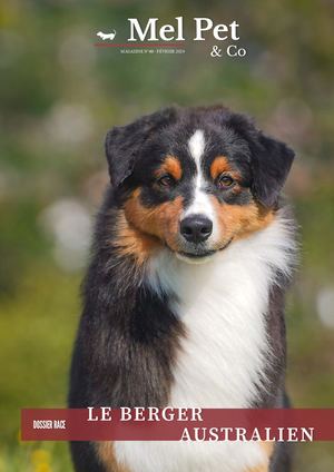 MAGAZINE #40 - BERGER AUSTRALIEN