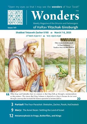 Wonders Issue 141 • Tetzaveh-Zachor 5785
