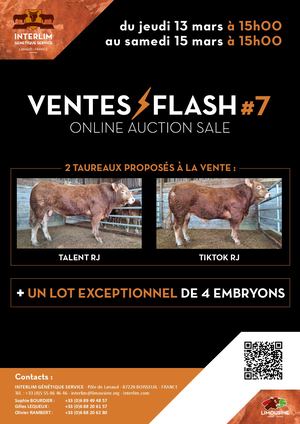 Catalogue Vente Flash #7
