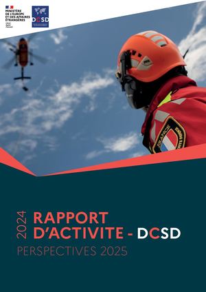 Rapport activité 2024 perspectives 2025 - DCSD
