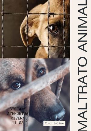 EL MALTRATO ANIMAL