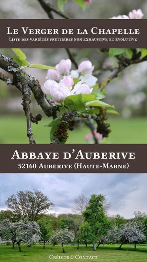 Le verger de la Chapelle - Abbaye d'Auberive