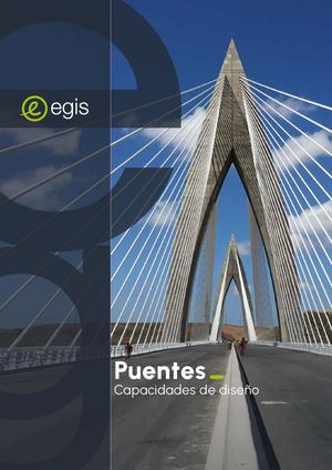 Ouvrages d'art - ES - 2025 - Egis