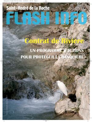 Flash Info Mars 2011