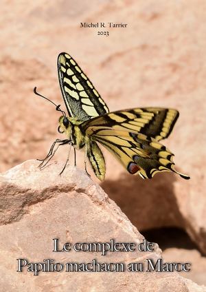 Le complexe de Papilio machaon  au Maroc. Michel Tarrier