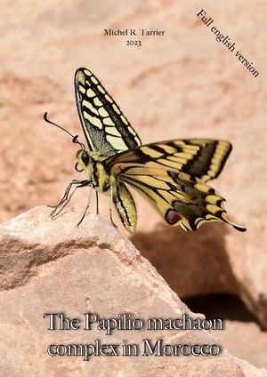 The Papilio machaon complex  in Morocco. Michel Tarrier